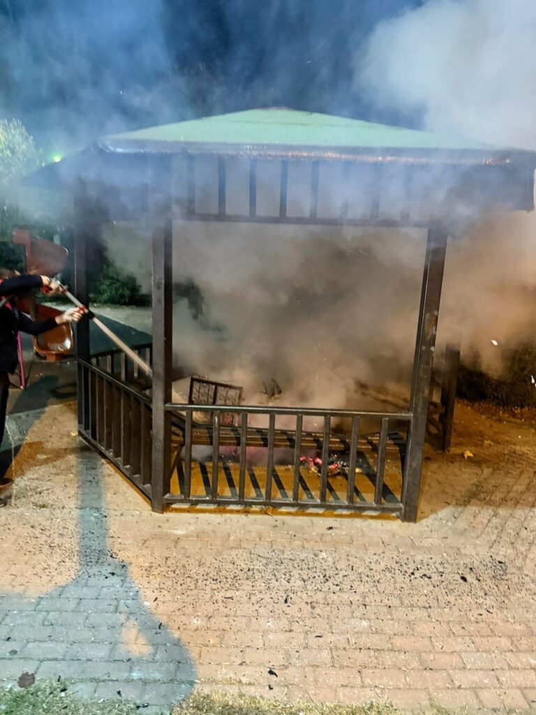 Biz güzelleştiriyoruz onlar yakıyor!